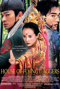激レア未開封RAEKWON/ HOUSE of FLYING DAGGERS house-of-flying-daggers_poster